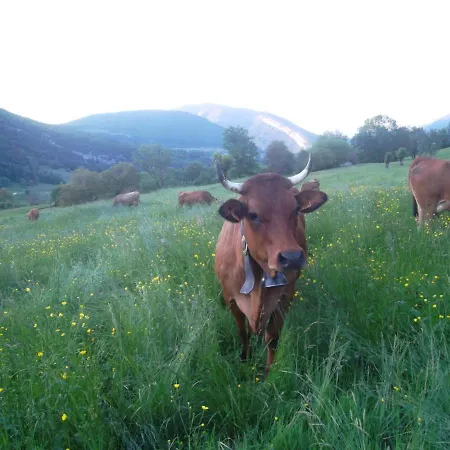 La Roulotte De La Buissonniere